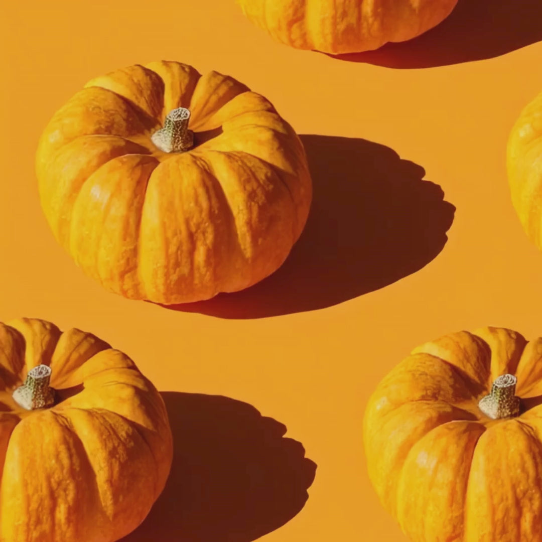 Pumpkin Shea Sugar Body Scrub — Organic Exfoliating & Moisturizing Blend