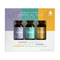 Aromatherapy Essential Oil Set — Lavender, Eucalyptus & Frankincense (3-Pack)