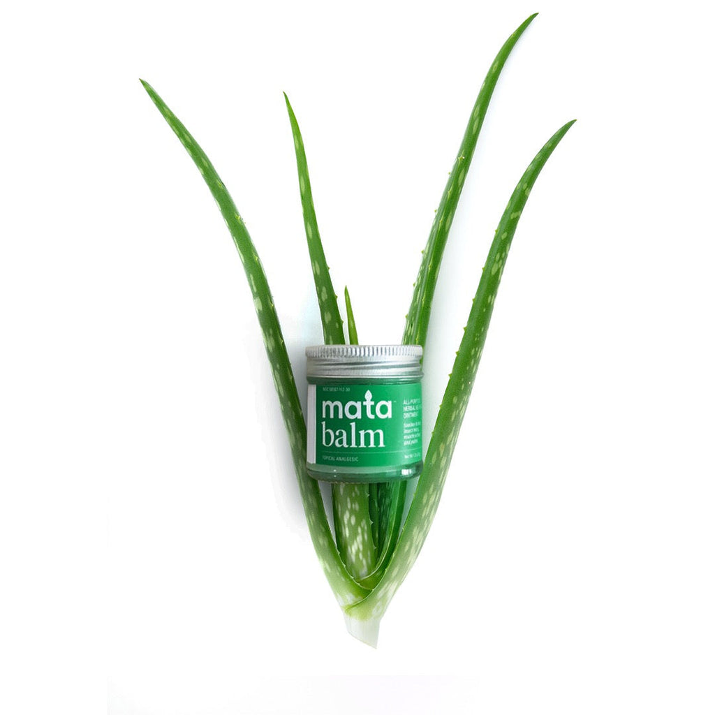 Herbal Skin Healing Balm — Soothing Massage & Muscle Rub